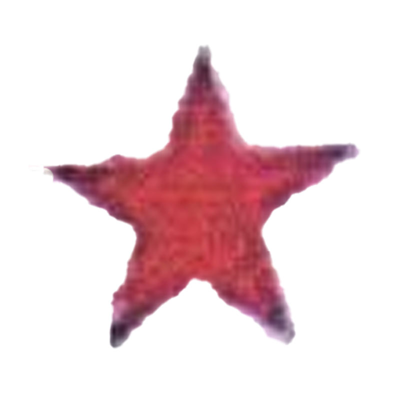 New Topstar Auto Parts Sdn Bhd 马来西亚雪隆汽车修理商公会